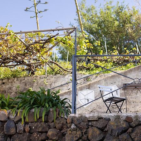 Ek Las Vistas Finca El Milagro La Orotava Exteriér fotografie