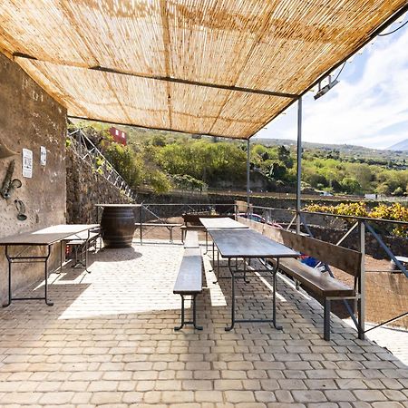 Ek Las Vistas Finca El Milagro La Orotava Exteriér fotografie