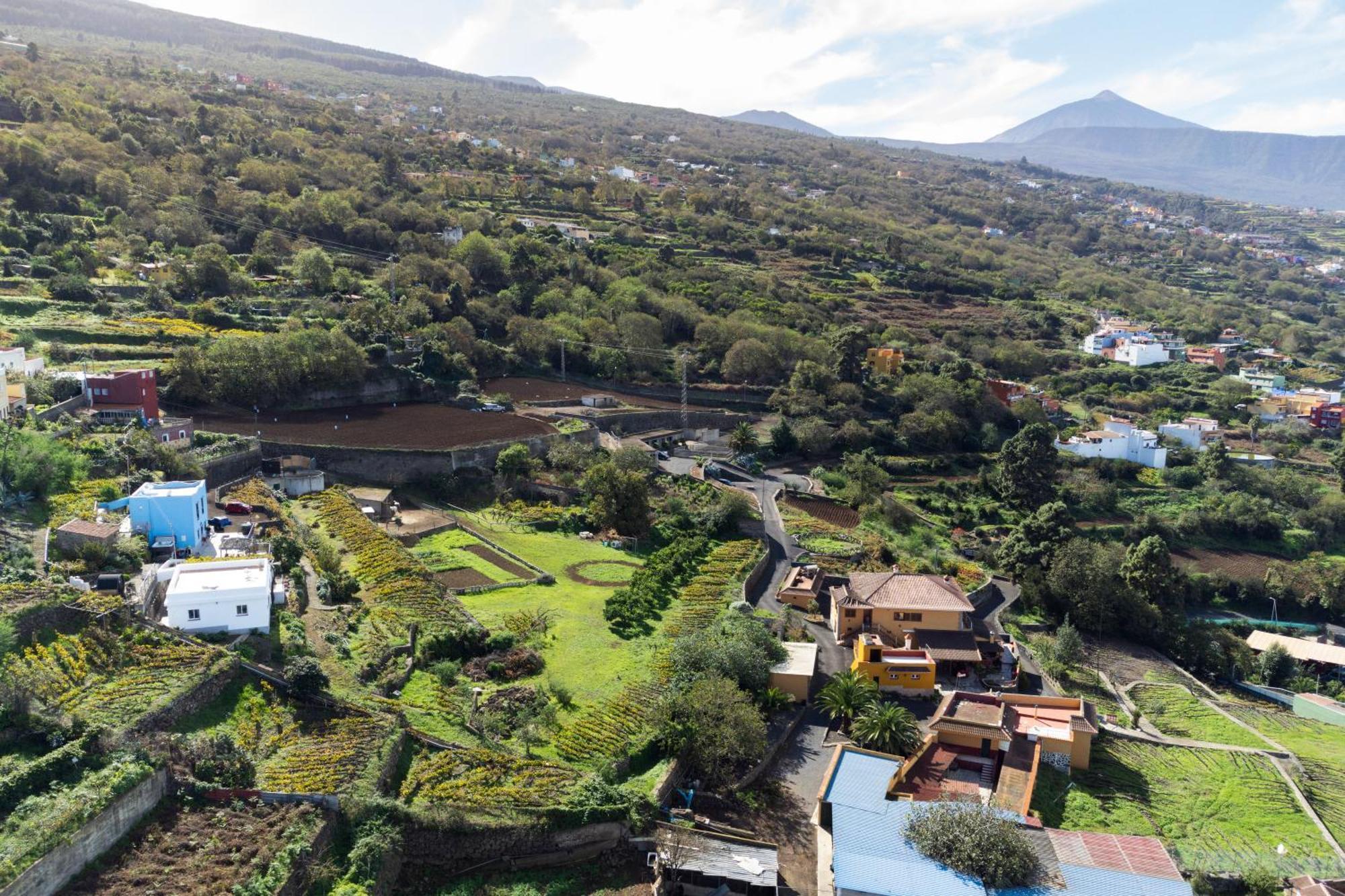 Ek Las Vistas Finca El Milagro La Orotava Exteriér fotografie