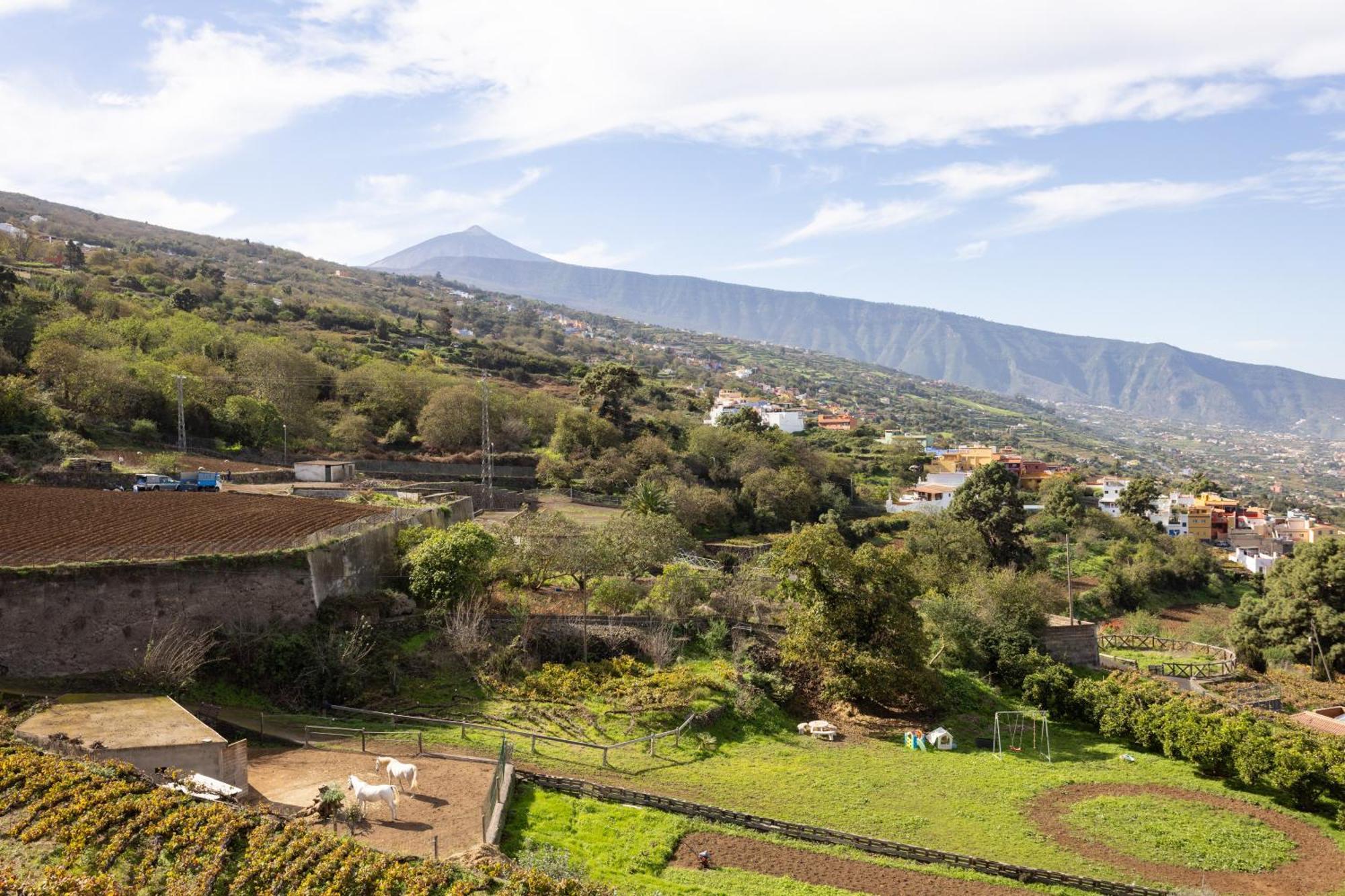 Ek Las Vistas Finca El Milagro La Orotava Exteriér fotografie