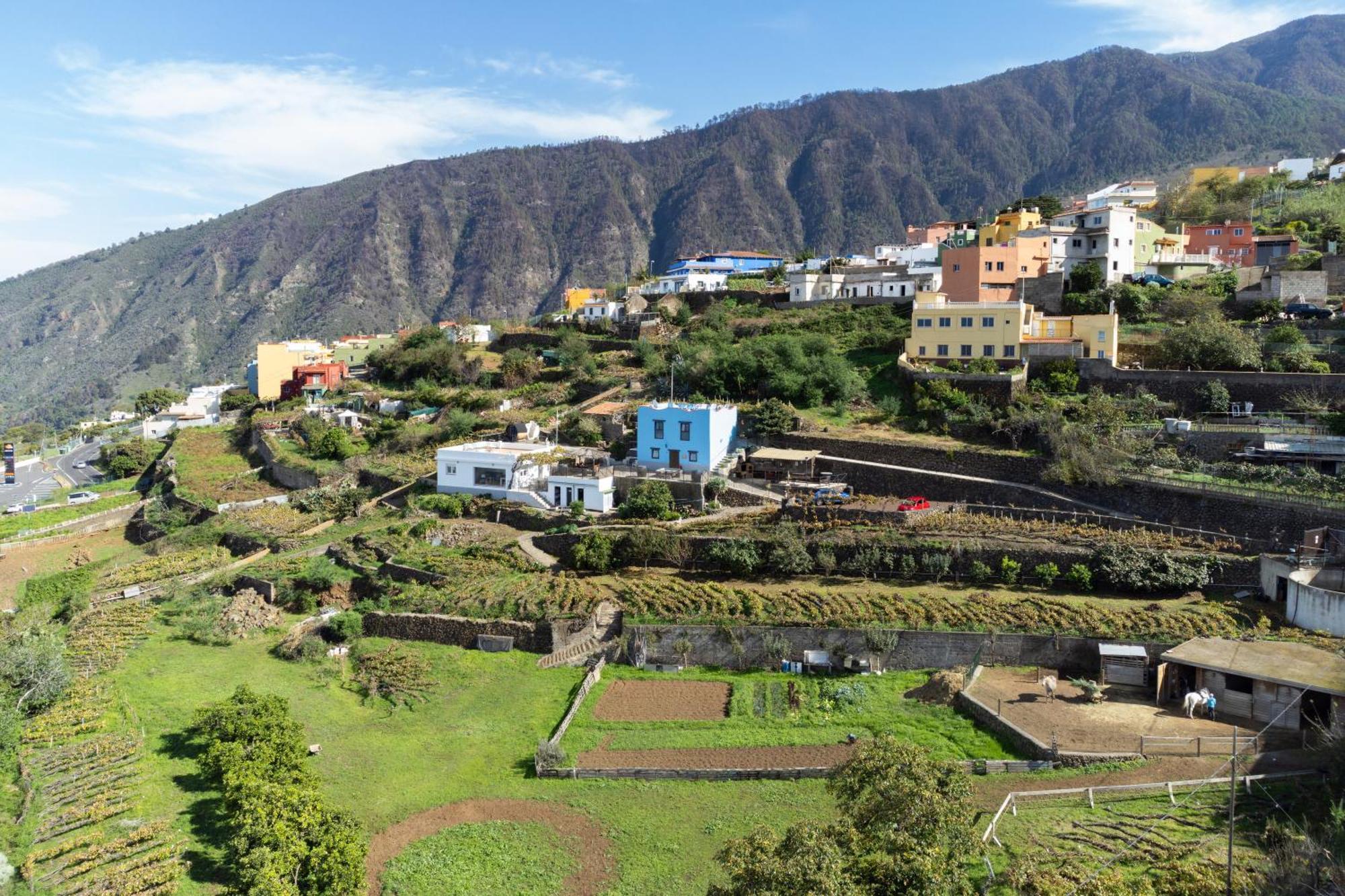 Ek Las Vistas Finca El Milagro La Orotava Exteriér fotografie