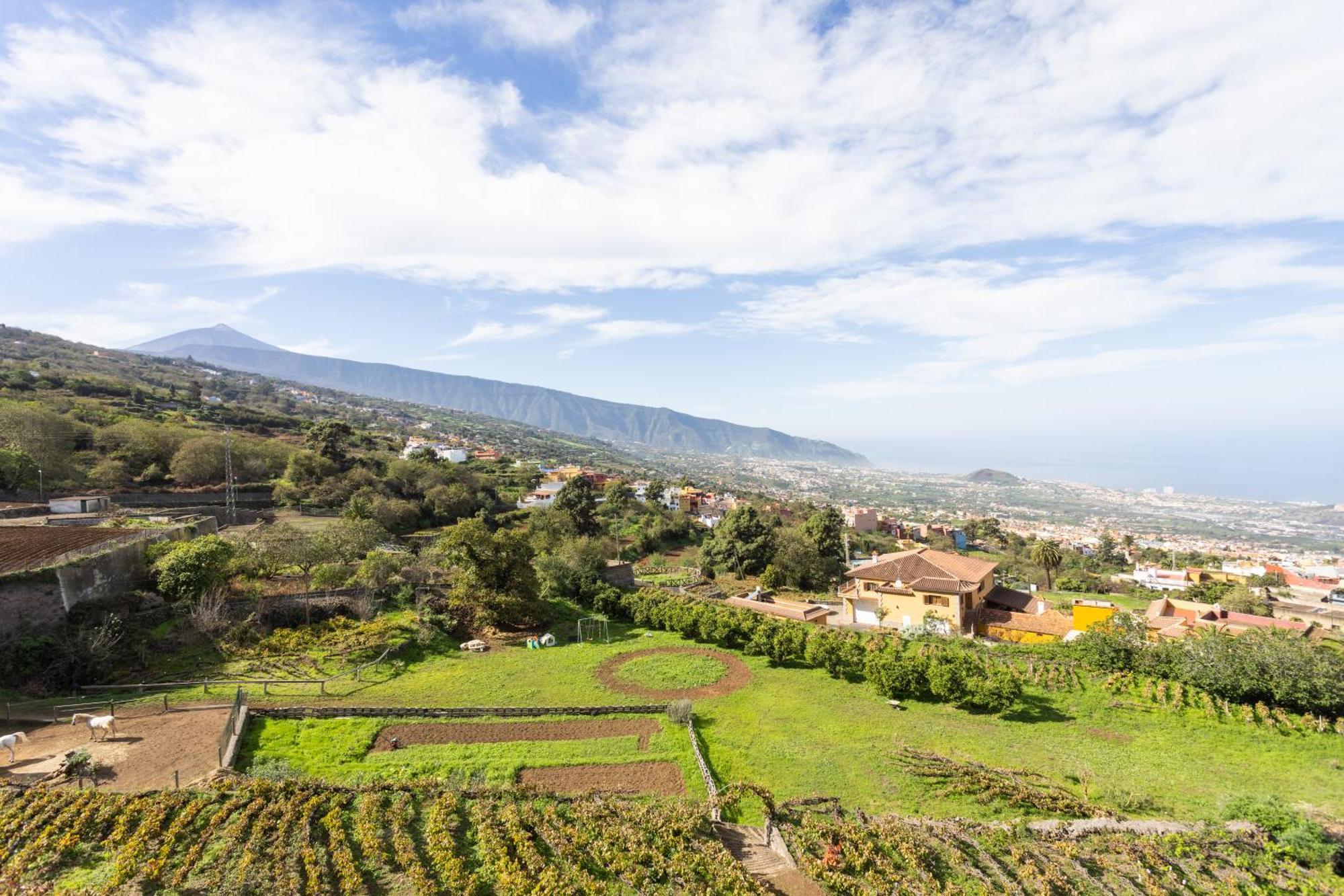 Ek Las Vistas Finca El Milagro La Orotava Exteriér fotografie