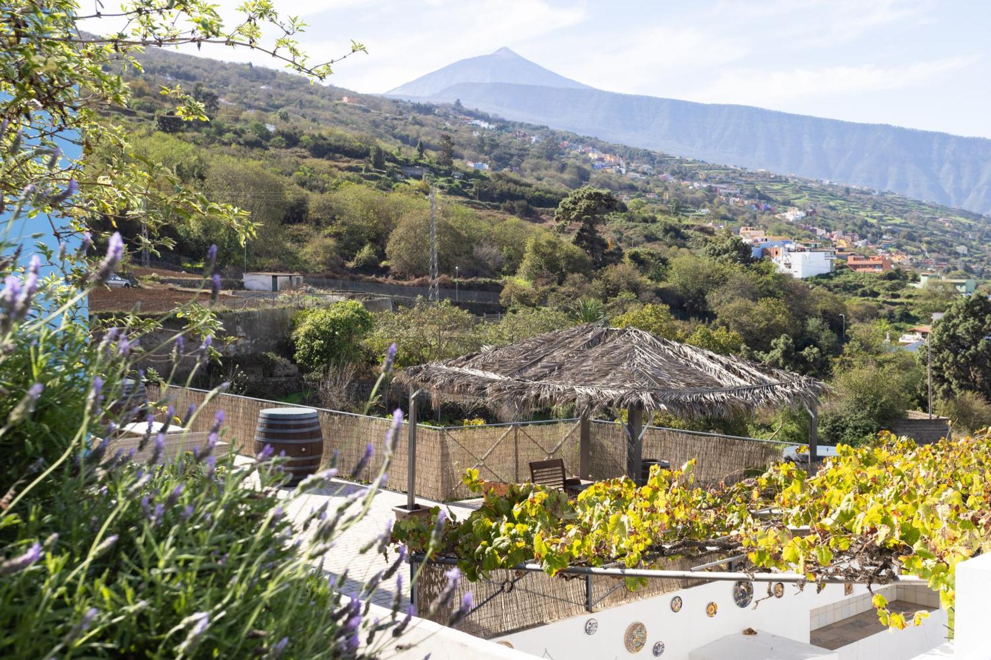 Ek Las Vistas Finca El Milagro La Orotava Exteriér fotografie